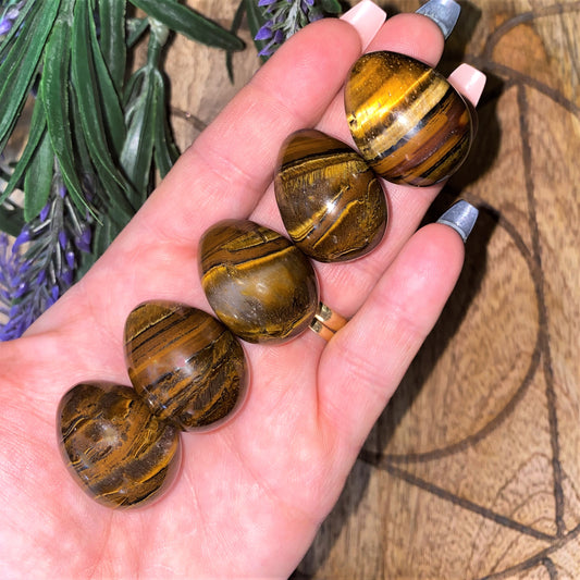 Tiger Eye Egg - Small