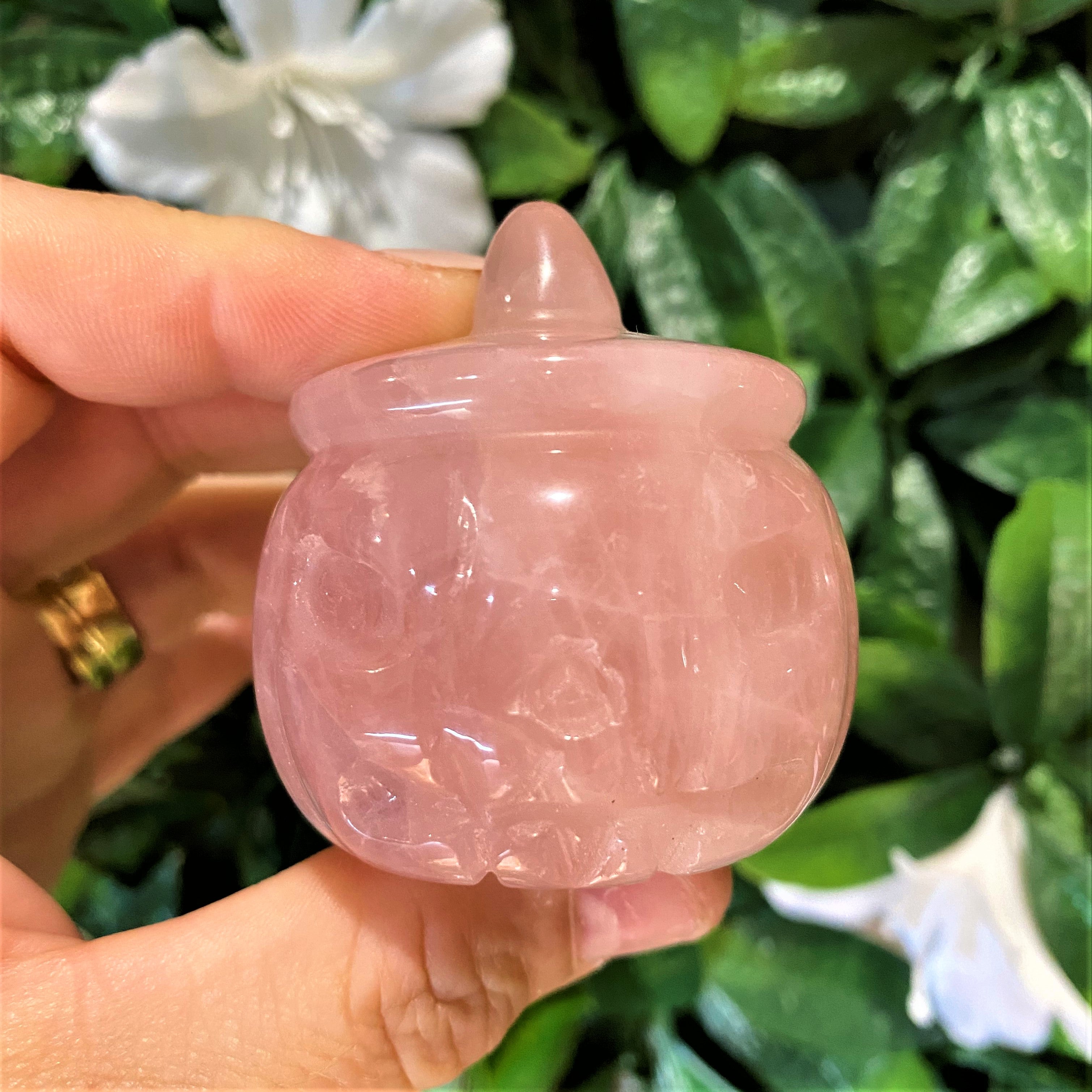 Carved Pumpkin Jack O'Lantern