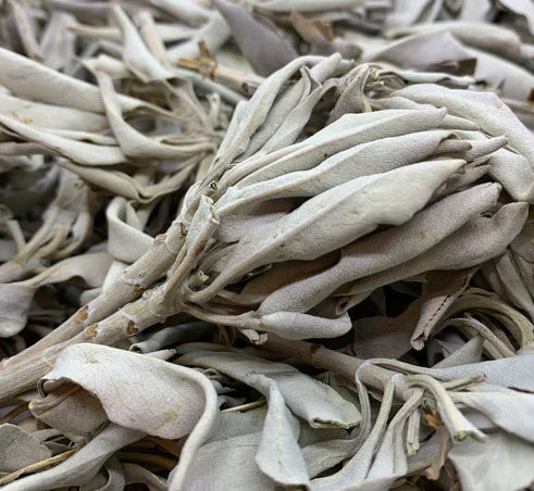 Loose White Sage ~ 20gms