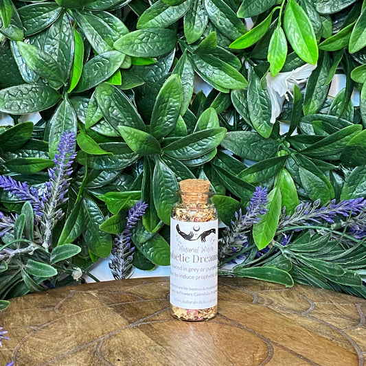 Prophetic Dreams Spell Jar - 7g