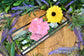Aura Quartz - Sunshine Yellow, Aqua, Purple & Pink