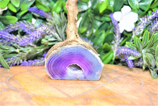 Amethyst & Purple/Pink/Blue/Natural Agate Trees Large