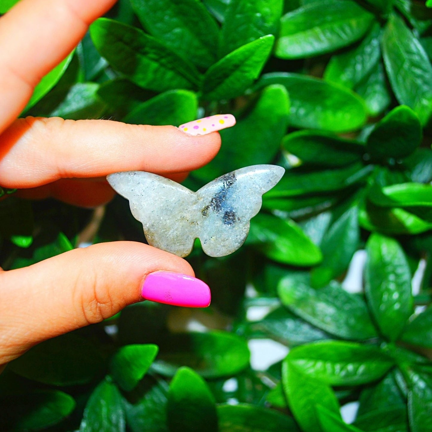 Assorted Crystal Butterflies