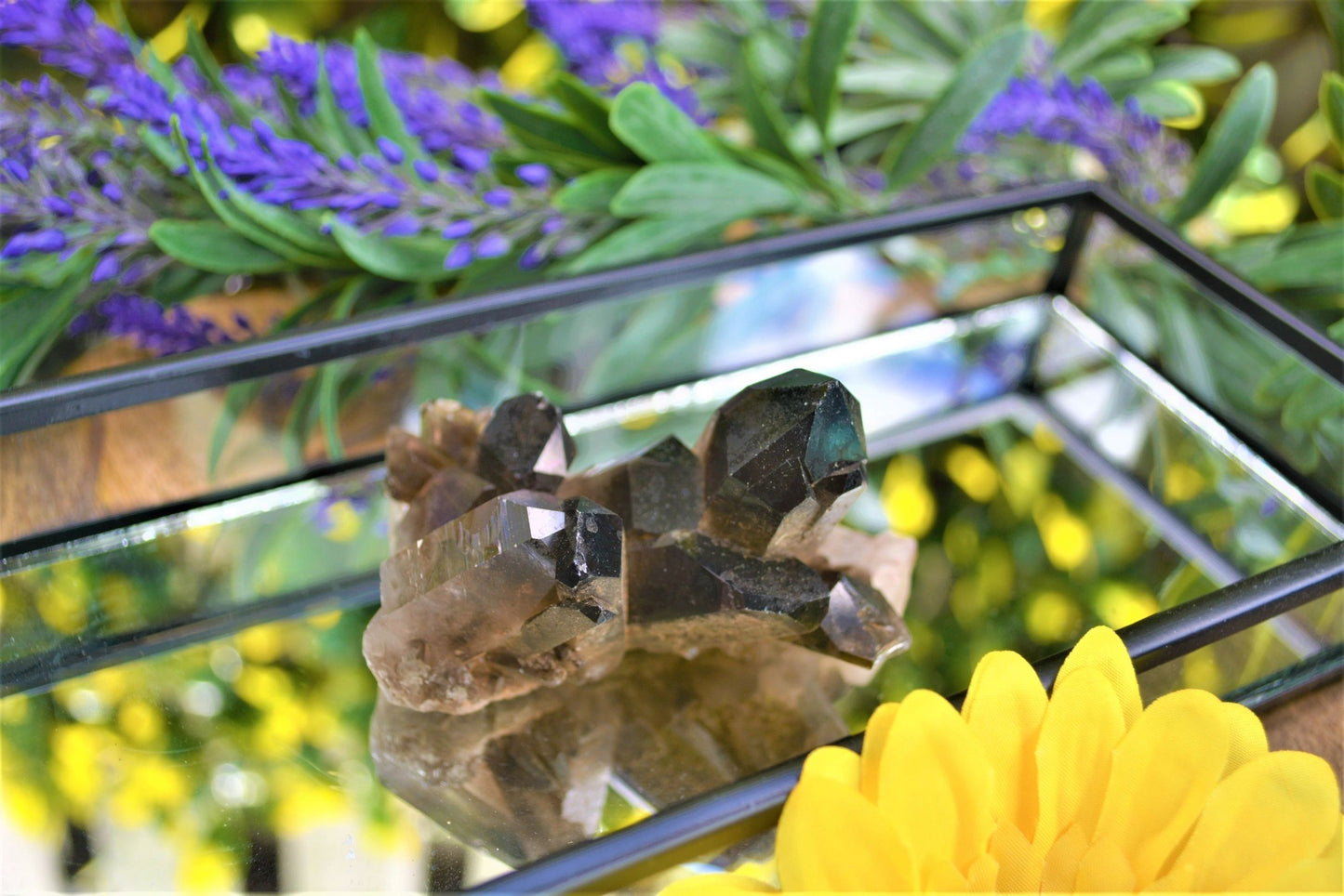 Smoky Quartz Cluster A Grade