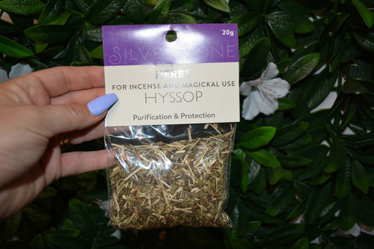 Herbs HYSSOP 20g packet