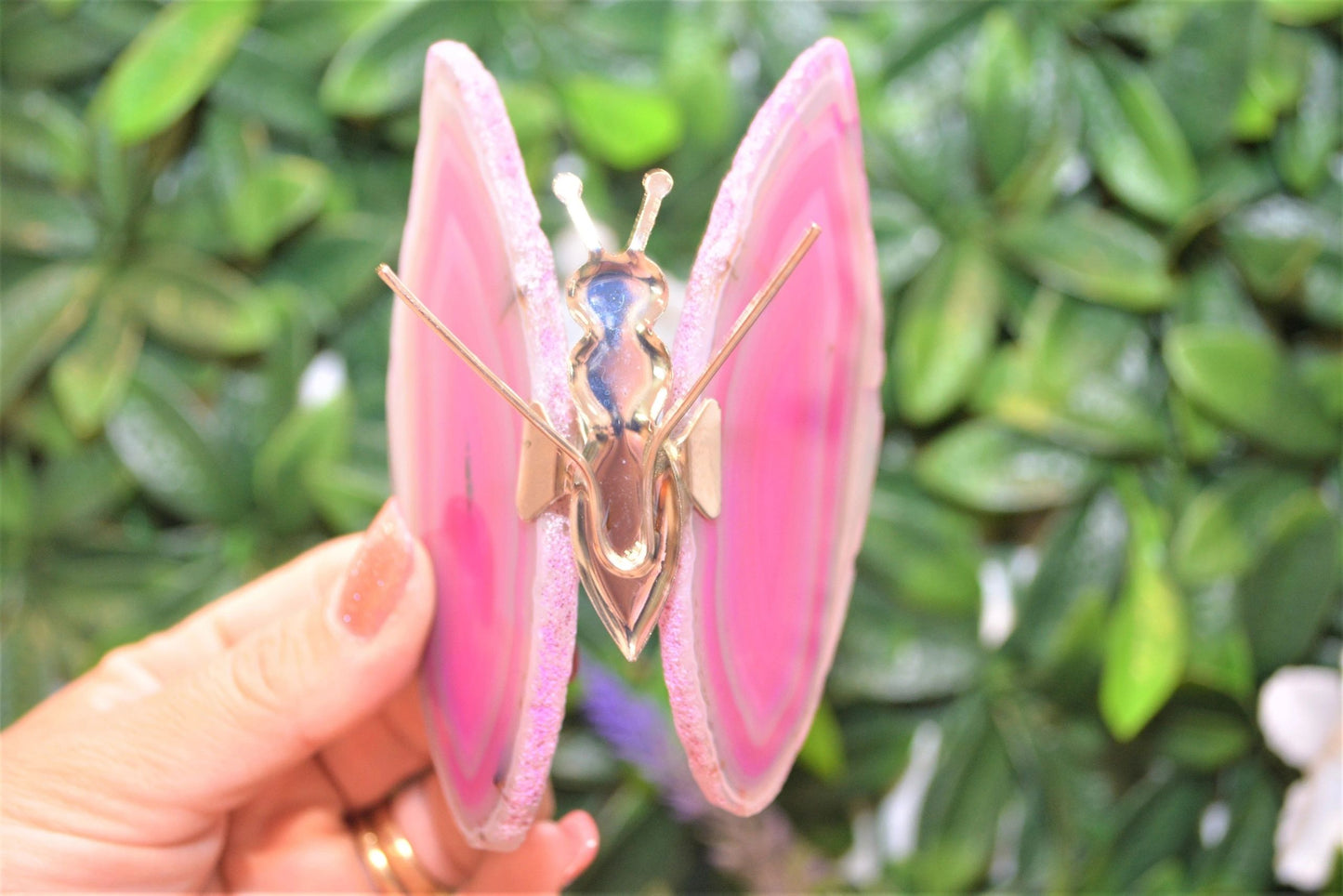 Agate Butterflies