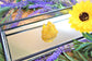 Aura Quartz - Sunshine Yellow, Aqua, Purple & Pink