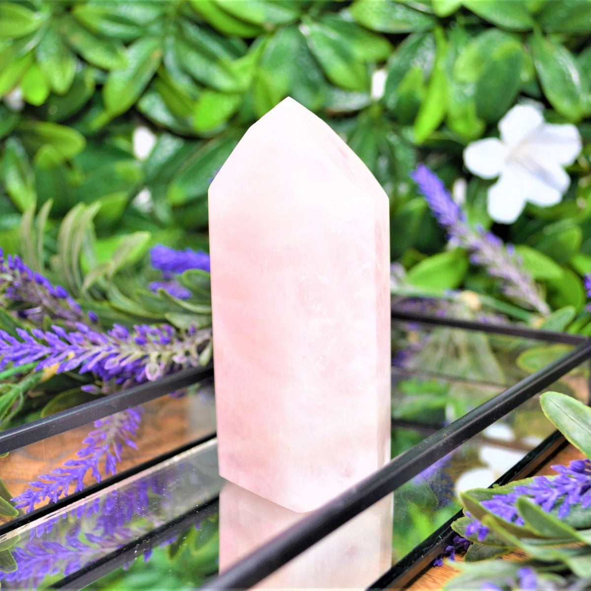Rose Quartz Generator - 500g