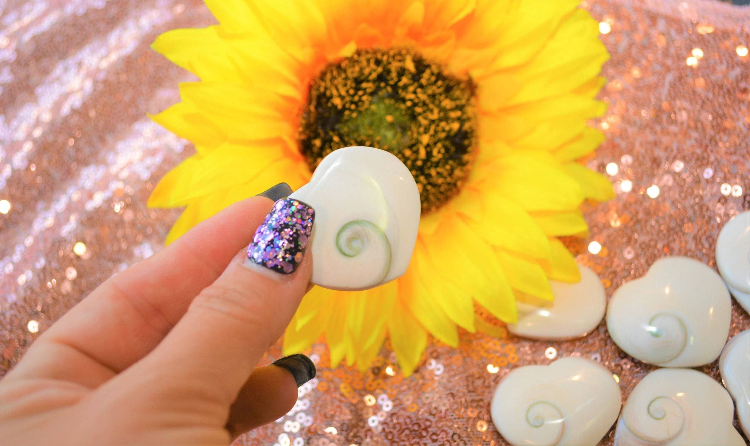 Shiva Eye Shell Heart