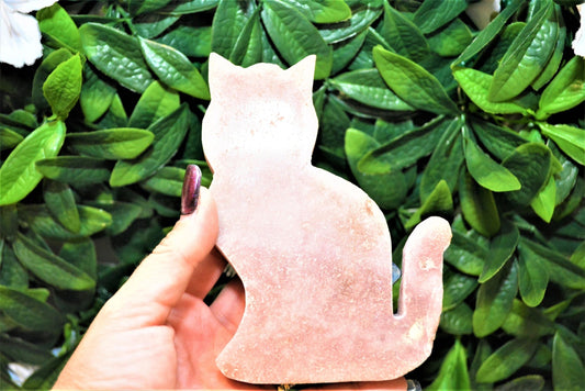 Pink Amethyst Pussy Cats